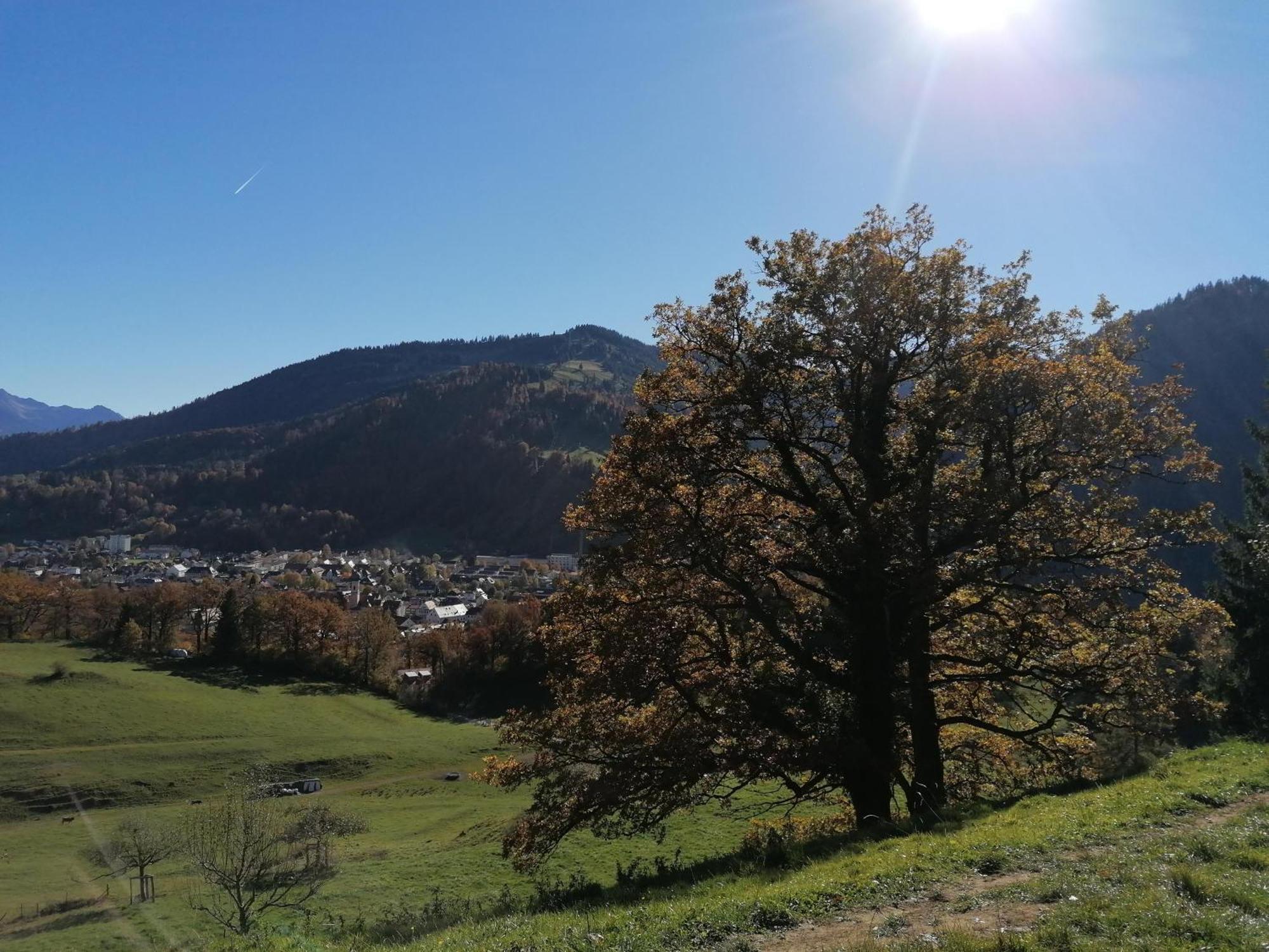 Landhaus Auf Der Hoeh Immenstadt im Allgäu Kültér fotó